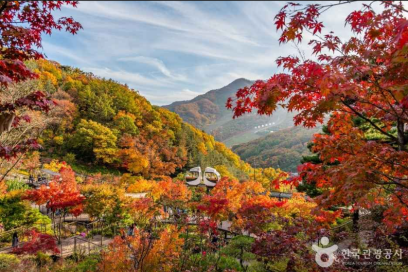 화담숲 단풍 2025년 절정시기 예약방법 주차정보 숙박 완벽가이드