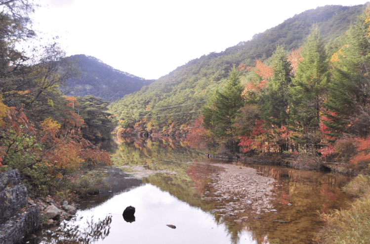 2025년 단풍 절정 시기