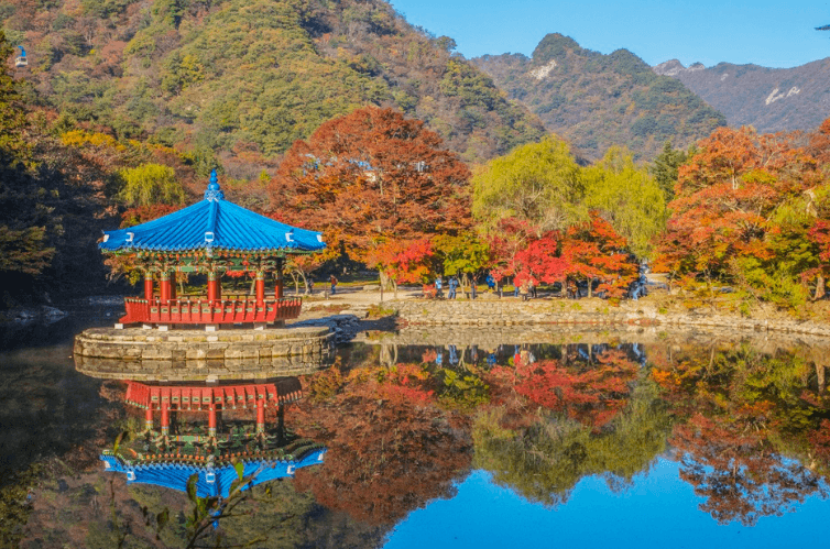 2025년 전국 단풍 절정 시기