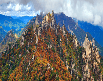 2025년 국립공원 명산 단풍 절정 시기