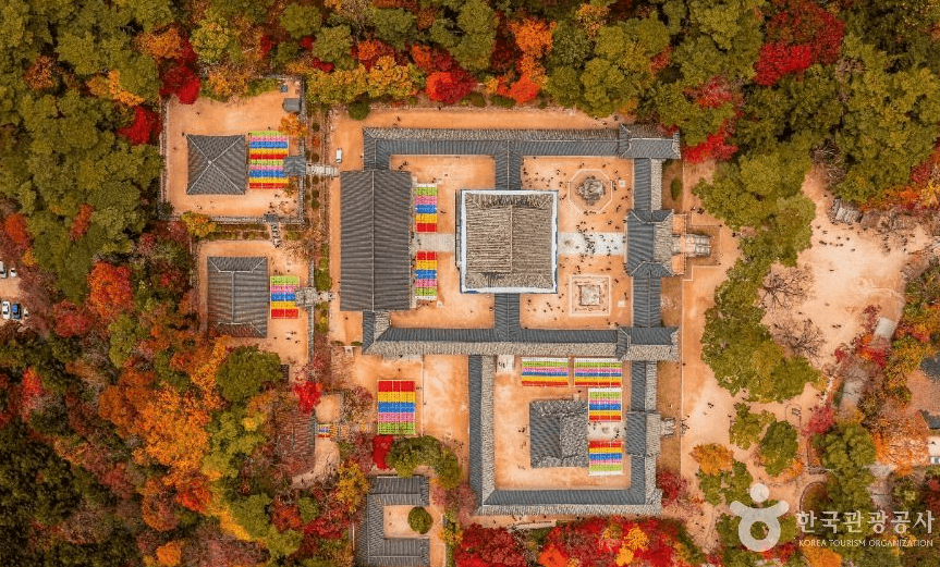 가을 대한민국에서 가장 아름다운 사찰 TOP4