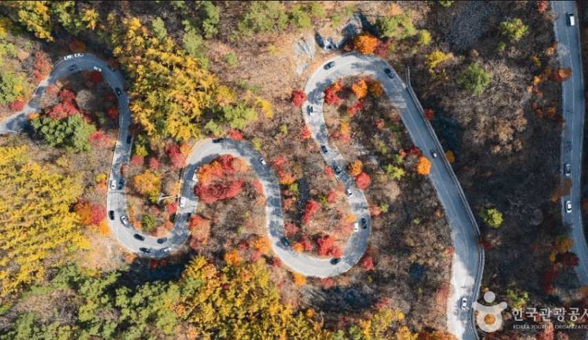 서울에서 2시간 이내 단풍 명소 7곳