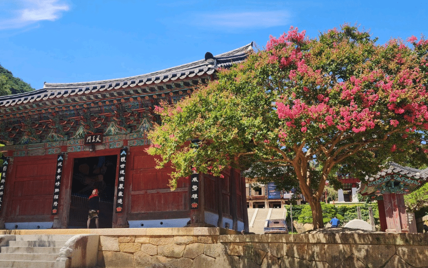 전라도 매화축제 대표 명소